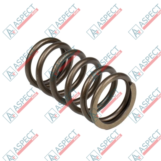Spring of Rotor Bosch Rexroth R902400724 SKS