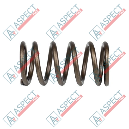 Feder des Rotors Bosch Rexroth R902400724 SKS
