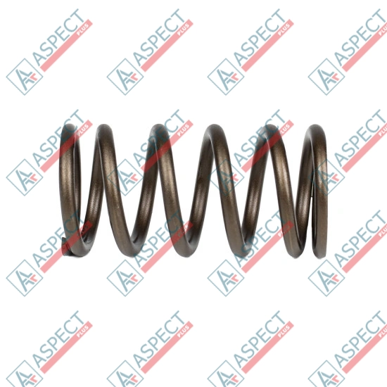 Spring of Rotor Bosch Rexroth R902400724 SKS