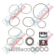 Seal kit pump Bosch Rexroth R902095615 SKS