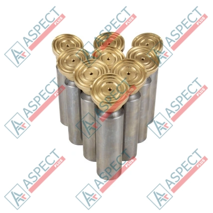 Плунжер з підп'ятником Bosch Rexroth R902058965 SKS
