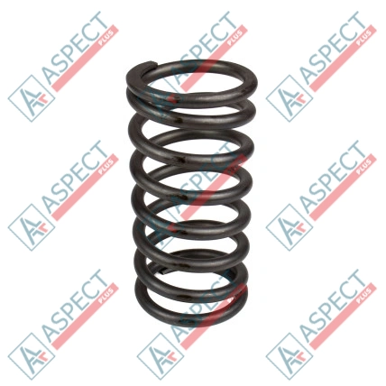 Ressort du rotor Bosch Rexroth R910918171 SKS