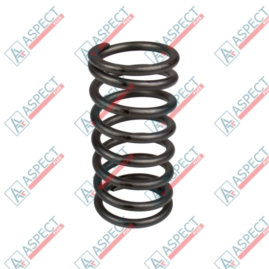 Spring of Rotor Bosch Rexroth R910918171 SKS