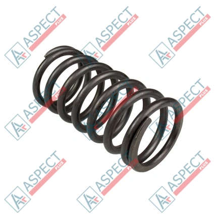 Ressort du rotor Bosch Rexroth R910918171 SKS