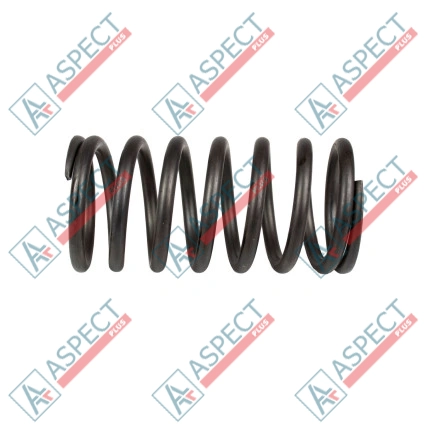 Ressort du rotor Bosch Rexroth R910918171 SKS