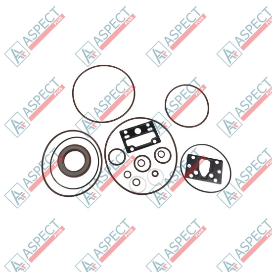 Ремкомплект гидронасоса Bosch Rexroth R902095560 SKS