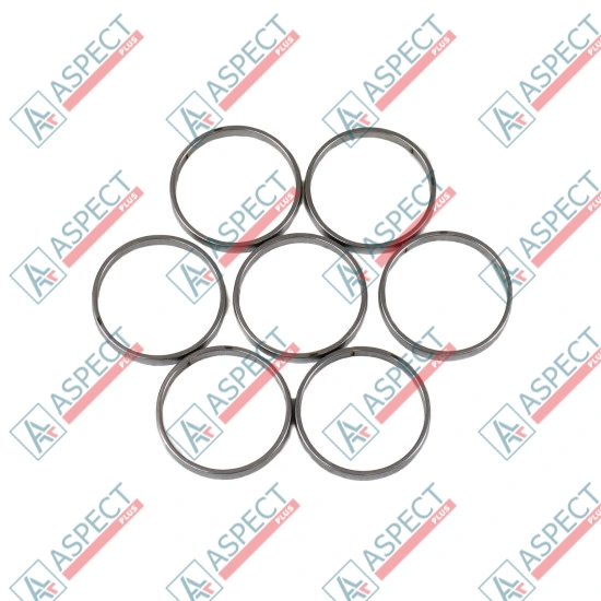 Piston Ring Bosch Rexroth R909831893 SKS