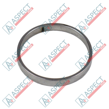 Bague de piston Bosch Rexroth R909831893 SKS