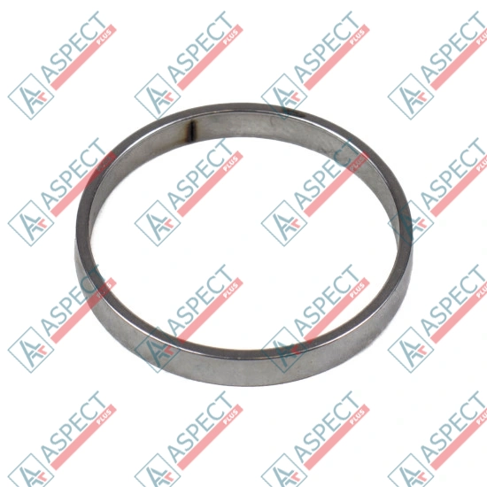 Piston Ring Bosch Rexroth R909831893 SKS
