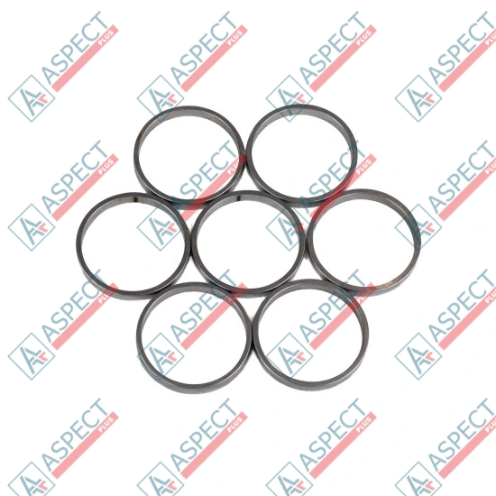 Piston Ring Bosch Rexroth R909831896 SKS