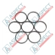 Piston Ring Bosch Rexroth R909831896 SKS