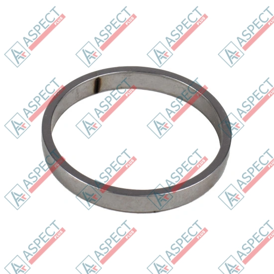 Piston Ring Bosch Rexroth R909831896 SKS