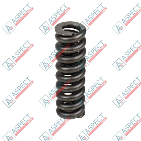 Spring for Center Pin Bosch Rexroth R909921583 SKS