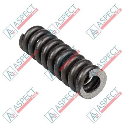 Feder für Zentrierstift Bosch Rexroth R909921583 SKS