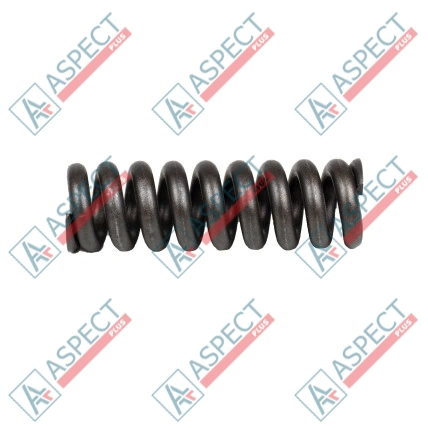 Feder für Zentrierstift Bosch Rexroth R909921583 SKS