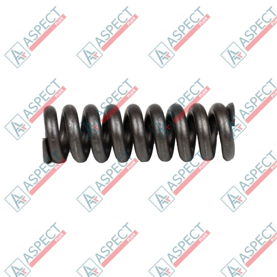 Spring for Center Pin Bosch Rexroth R909921583 SKS