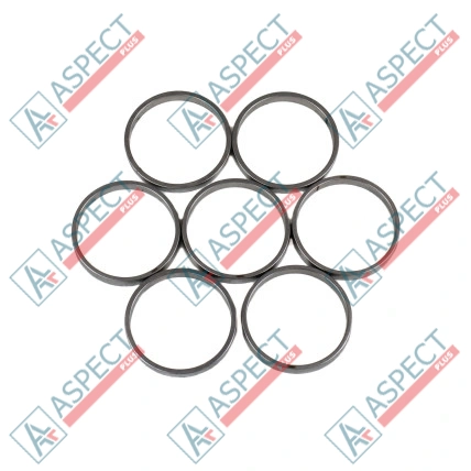Bague de piston Bosch Rexroth R909831897 SKS