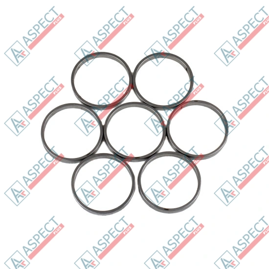 Piston Ring Bosch Rexroth R909831897 SKS