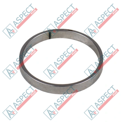 Bague de piston Bosch Rexroth R909831897 SKS