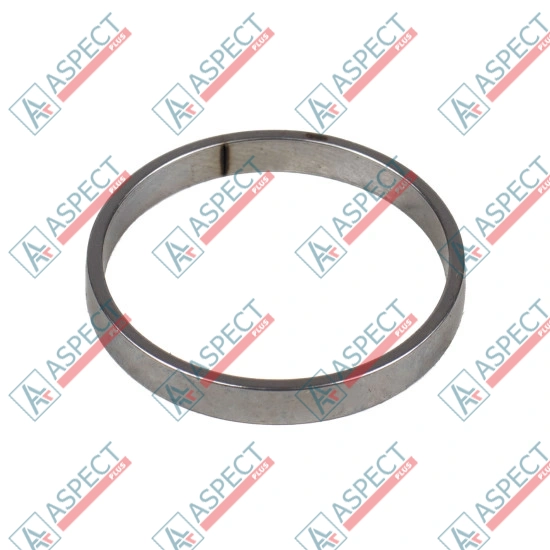 Piston Ring Bosch Rexroth R909831897 SKS