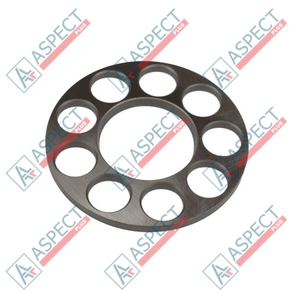 Plaque de maintien Bosch Rexroth R902210071 SKS
