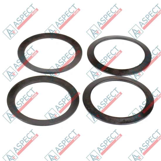 Disk Spring Bosch Rexroth R909074125 SKS