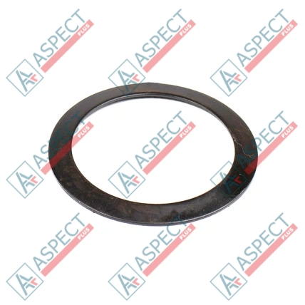 Ressort de disque Bosch Rexroth R909074125 SKS