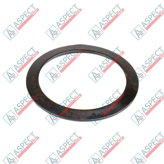 Disk Spring Bosch Rexroth R909074125 SKS