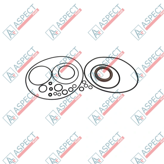 Seal kit pump Bosch Rexroth R902095601 SKS