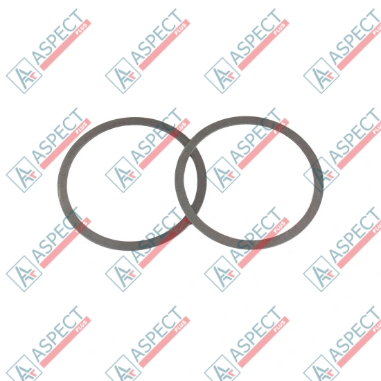Ball guide Washer Bosch Rexroth R909078316 SKS