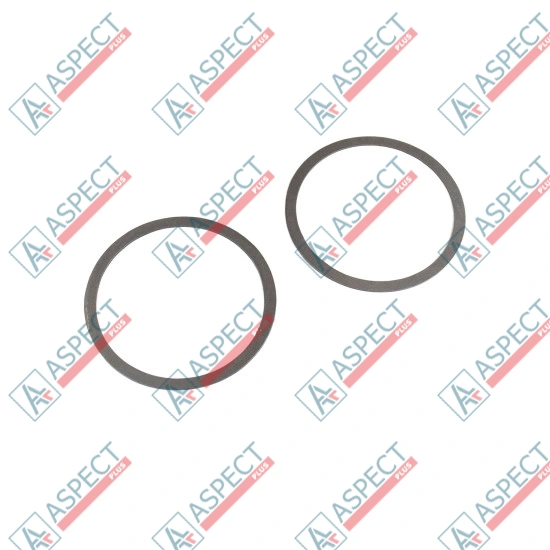 Ball guide Washer Bosch Rexroth R909078316 SKS