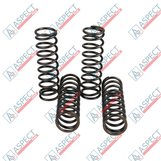 Пружина блока цилиндров Bosch Rexroth R909443163 SKS