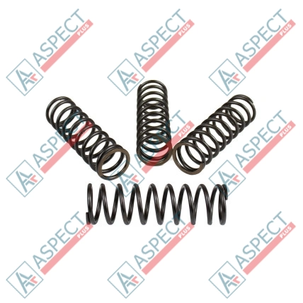 Ressort du rotor Bosch Rexroth R909443163 SKS