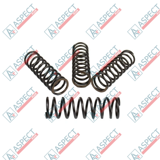Пружина блока цилиндров Bosch Rexroth R909443163 SKS