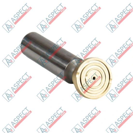Плунжер с подпятником Bosch Rexroth R909443559 SKS