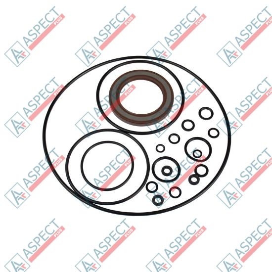 Seal kit pump Bosch Rexroth R902095608 SKS