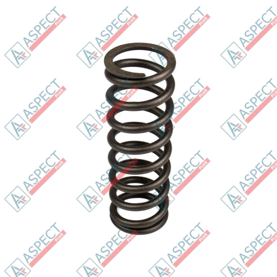 Bias Spring Bosch Rexroth R909444263 SKS