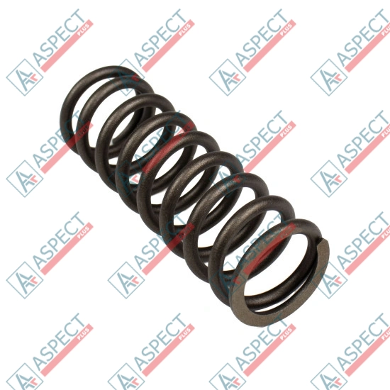 Bias Spring Bosch Rexroth R909444263 SKS