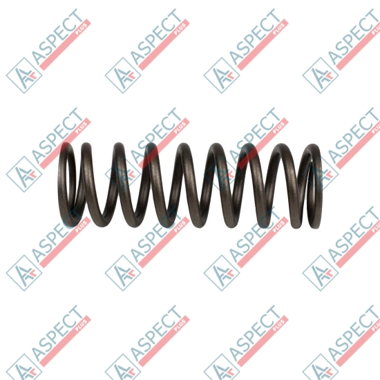 Bias Spring Bosch Rexroth R909444263 SKS