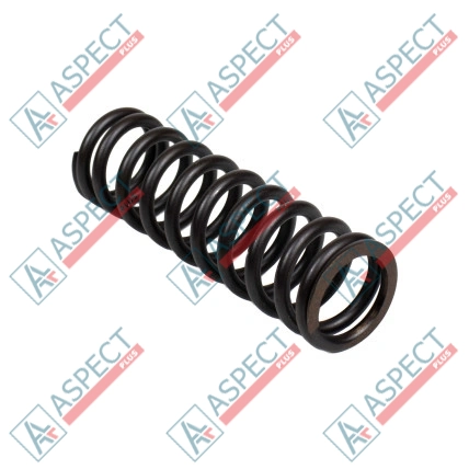 Bias Spring Bosch Rexroth R909436881 SKS