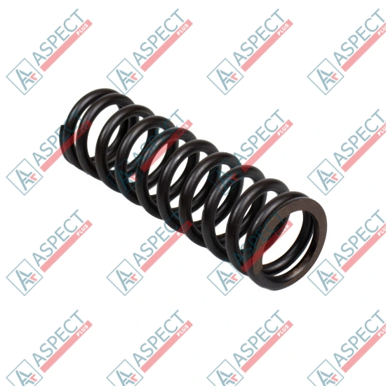 Bias Spring Bosch Rexroth R909436881 SKS
