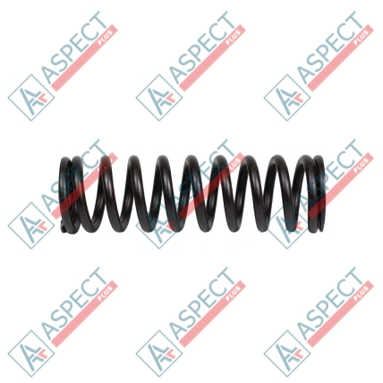 Bias Spring Bosch Rexroth R909436881 SKS