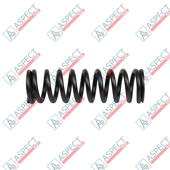 Bias Spring Bosch Rexroth R909436881 SKS