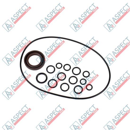 Seal kit pump Bosch Rexroth R910941171 SKS