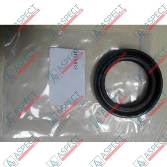 Shaft Seal Hitachi 4179833 AFM