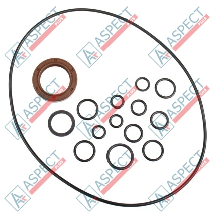 Kit joints pompe Bosch Rexroth R910915845 SKS