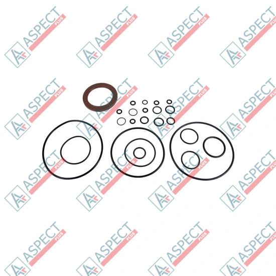 Seal kit pump Bosch Rexroth 209-5921 YBS