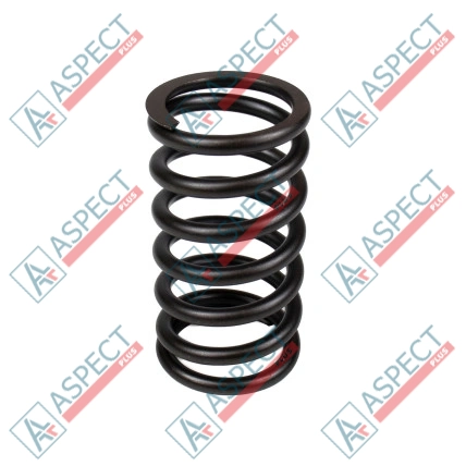 Ressort du rotor Bosch Rexroth R910720178 SKS