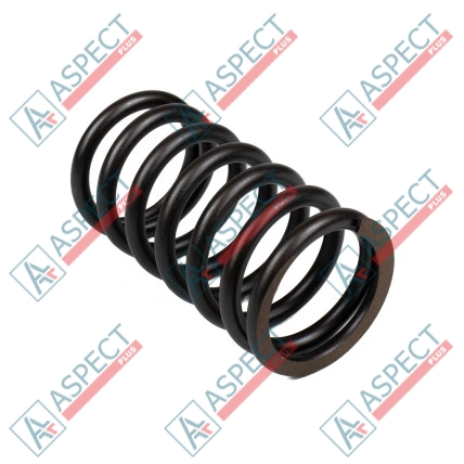 Ressort du rotor Bosch Rexroth R910720178 SKS