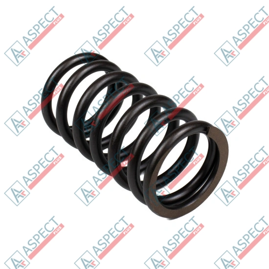 Пружина блока цилиндров Bosch Rexroth R910720178 SKS